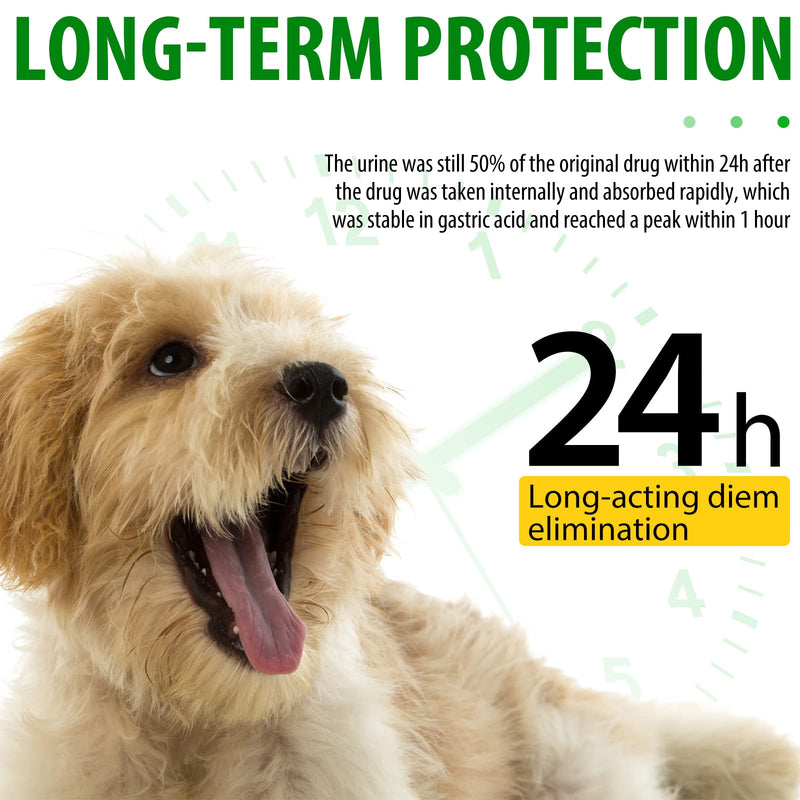 Dog Antibiotics Antibiotics for Dogs Dog Eye Infection Treatment Dog Cough Treatment Dog Cough Treatment 2.02fl.oz (60ml) 60ml - PawsPlanet Australia