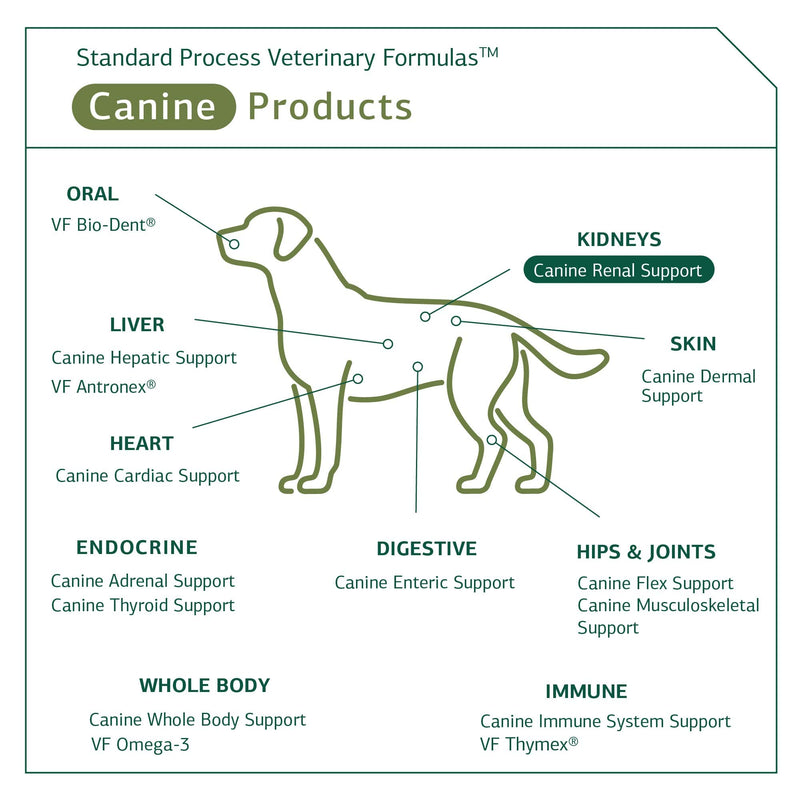 Standard Process - Canine Renal Support - Kidney Health for Dogs - 110 Grams - PawsPlanet Australia