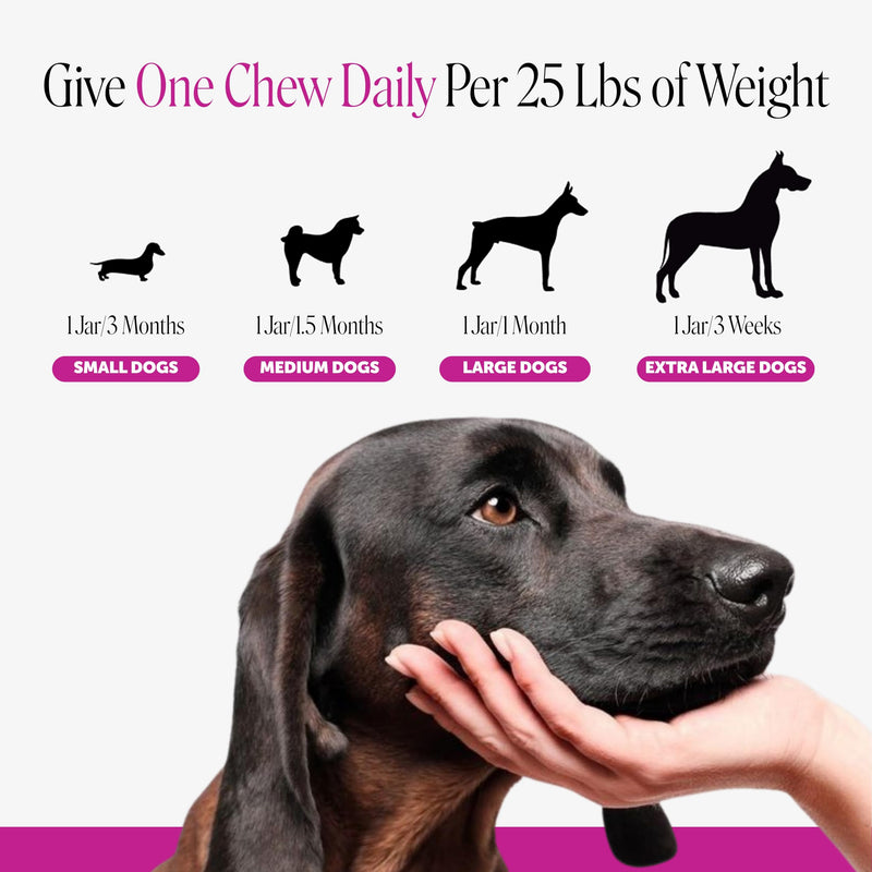 10-in-1 Dog Multivitamin Supplement with Glucosamine & Probiotics - Hip & Joint Support, Digestive Health, Immune Support, Heart & Skin - All-in-One Daily Vitamins & Omega-3s (Peanut Butter, 90 ct) Peanut Butter 90 Count