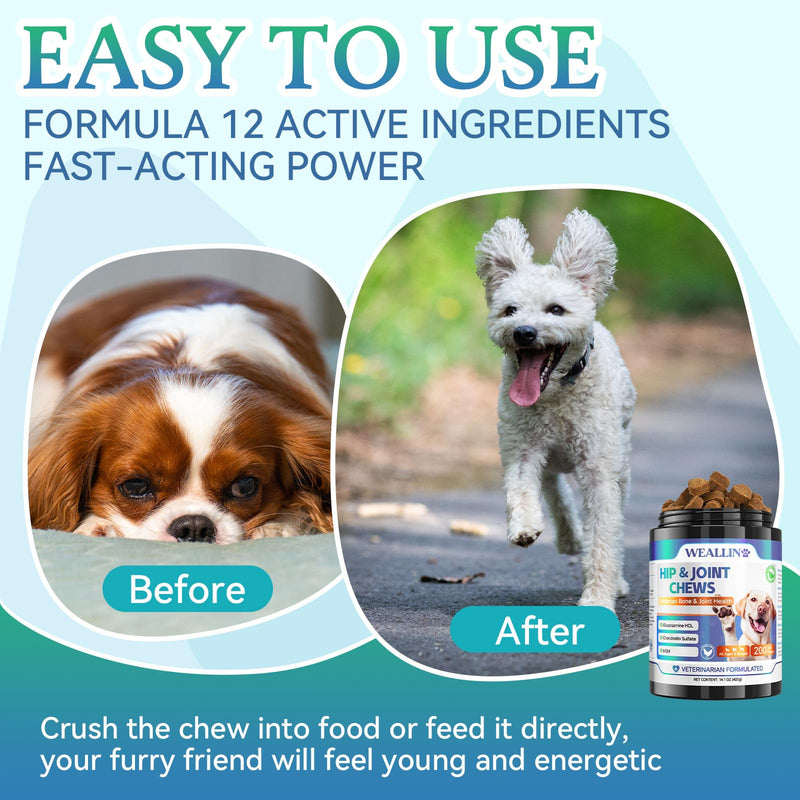 Joint Supplement for Dogs - Dog Joint Supplement Glucosamine for Dogs Hip and Joint Chondroitin Chews Treats for Dogs with MSM Lipid Mussels Vitamins Dog Hip and Joint Supplement for All Breed 200pcs - PawsPlanet Australia