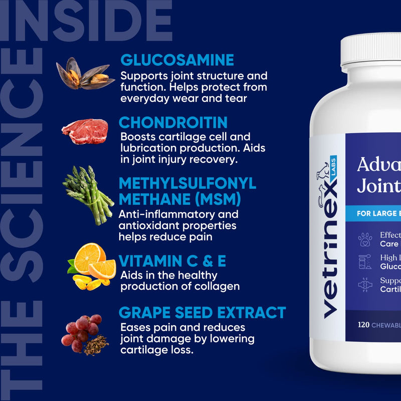 Joint Support Supplement for Large Dogs - Hip and Joint Chewable Tablets for Small, Medium & Large Breed Dogs with Glucosamine, Chondroitin, and MSM, Beef Flavor, 120 Tablets Medium/Large Dogs (More than 45 lbs) - PawsPlanet Australia