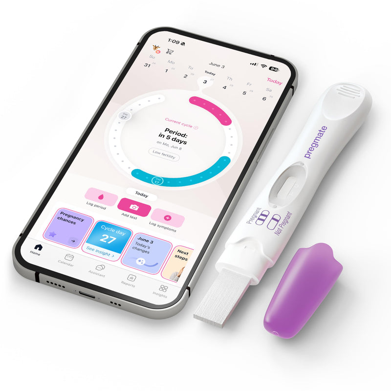 Pregmate Pregnancy Midstream Tests (10 Count)