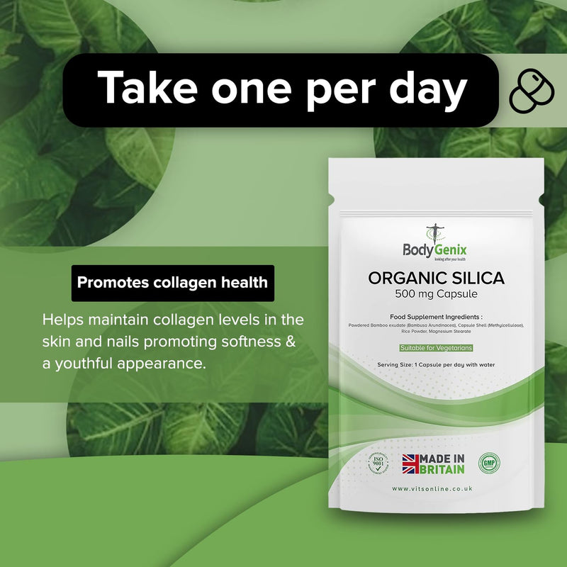 Bodygenix Silica 500mg Capsules Silicon Bamboo Extract Rich Supplement (120) 4 Month Supply… Orange 120 count (Pack of 1)