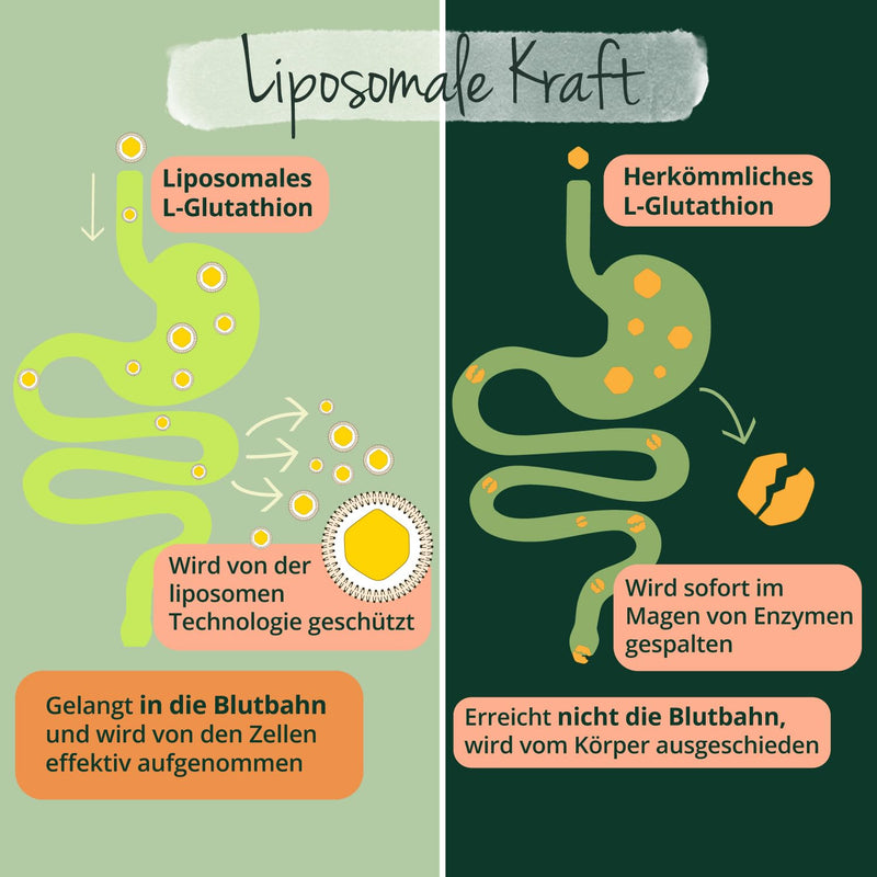 [Australia] - Reduced glutathione | Liposomal Pureway™-G | With NAC, glycine, glutamine, vitamin C, selenium, milk thistle & curcuma extract | Vegan & No Additives | German production of Vegavero® 