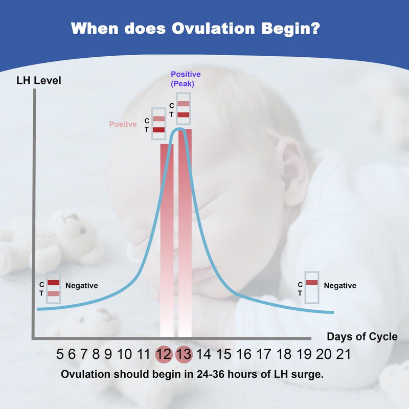 [Australia] - Ovulation Test Strips, Bulk Ovulation Tests, 50 Pack Fertility Tests with Collection Cups, Accurate LH Test for Home, Ovulation Predictor Kit, 5mm Wider 25 MIU/mL 50 Count 