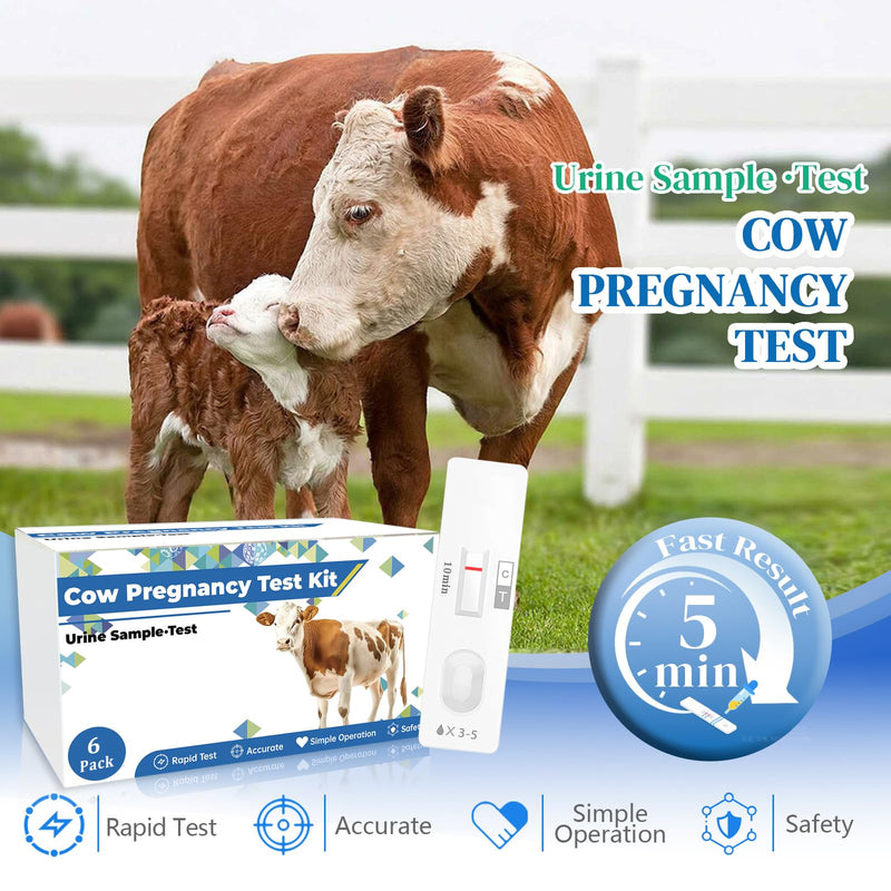 6-Pack Cow Pregnancy Test Kit - Early Urine Detection for Cattle, Get Fast 10-Minute Results, Essential Non-Invasive Monitoring Tool for Dairy Cows & Beef Herds