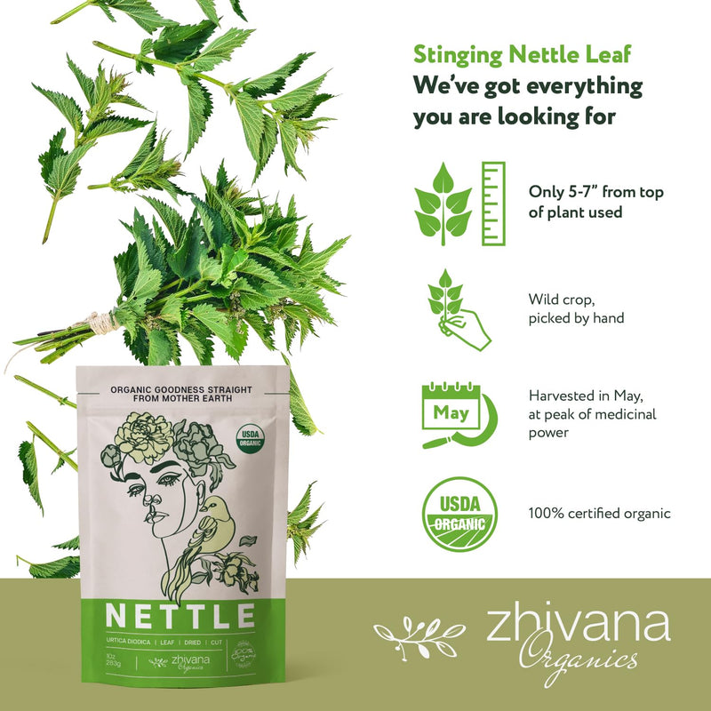 [Australia] - Premium Nettle Leaf Tea Organic - Stinging Nettle Tea Organic – Urtica Dioica Herb - Ortiga Verde Organica – European Dried Nettles Leaves - Cooking Recipe E-Book Included – Large 10 Ounce Bag 