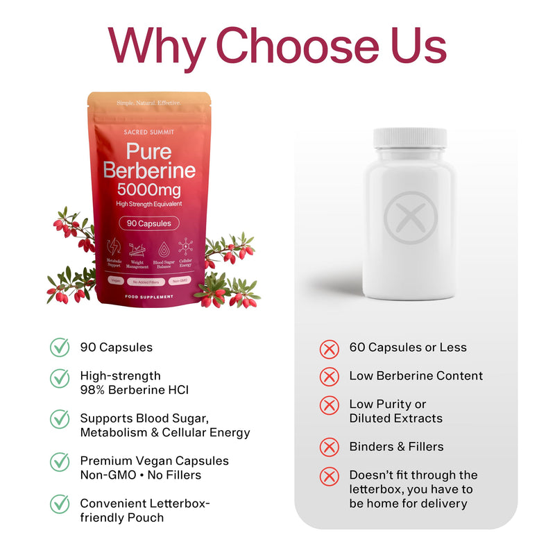 Pure Berberine 500mg – 10:1 Extract (5000mg Equivalent) – Vegan Capsules – Premium Plant-Based Supplement for Everyday Balance and Vitality – 90 Capsules