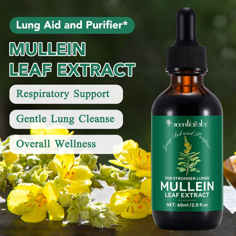 [Australia] - 2 Pack Mullein Drops for Lungs, Mullein Leaf Extract with Chlorophyll,Mullein Leaf Extract for Lung Cleanse and Respiratory Support -2 Bottles 4 Fl Oz (Pack of 1) 