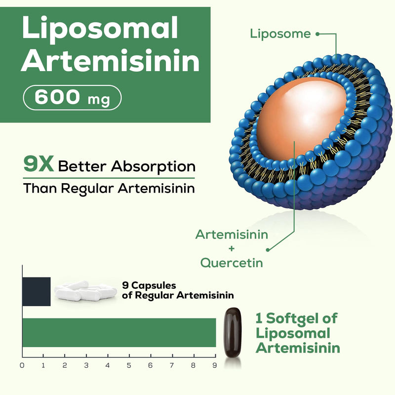 [Australia] - 600 mg Liposomal Artemisinin for Maximum Absorption, Sweet Wormwood Extract(Artemisia Annua) with Quercetin Phytosome 200 mg, 120 Softgels 60 Count (Pack of 2) 