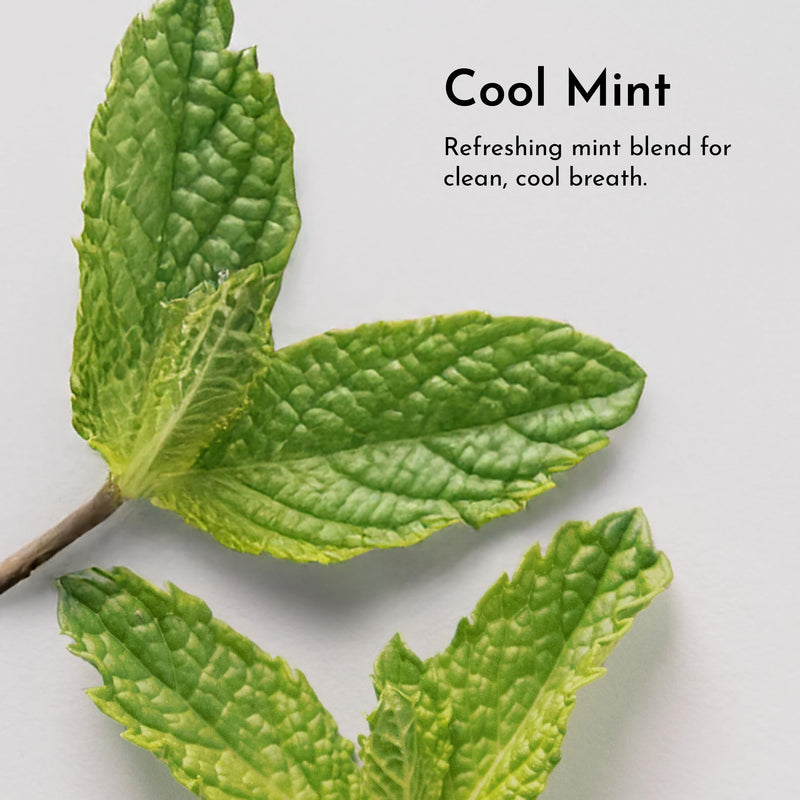 [Australia] - Remineralizing Tooth Powder – Fluoride-Free Natural Oral Care – Gently Cleans & Whitens – Supports Strong Teeth & Fresh Breath – Vegan, Non-GMO, Made with Clean Ingredients (Regular, REMINERALIZING) 1 Ounce (Pack of 1) 