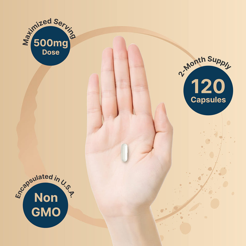 [Australia] - NatureBell Citicoline Supplements, CDP Choline, Citicoline 500mg Plus Tyrosine 50mg Per Serving, Optimized Dosage, 120 Capsules, 2 in 1 Formula, Dual Action Brain Supplement, Non-GMO 