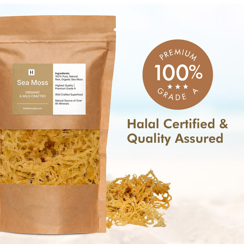 HalalEveryDay Wildcrafted Irish Sea Moss - 1lb Bag- 100% Pure All Natural | Vitamin & Mineral Rich | No Preservatives | Golden | 16 oz 16 Ounce (Pack of 1)