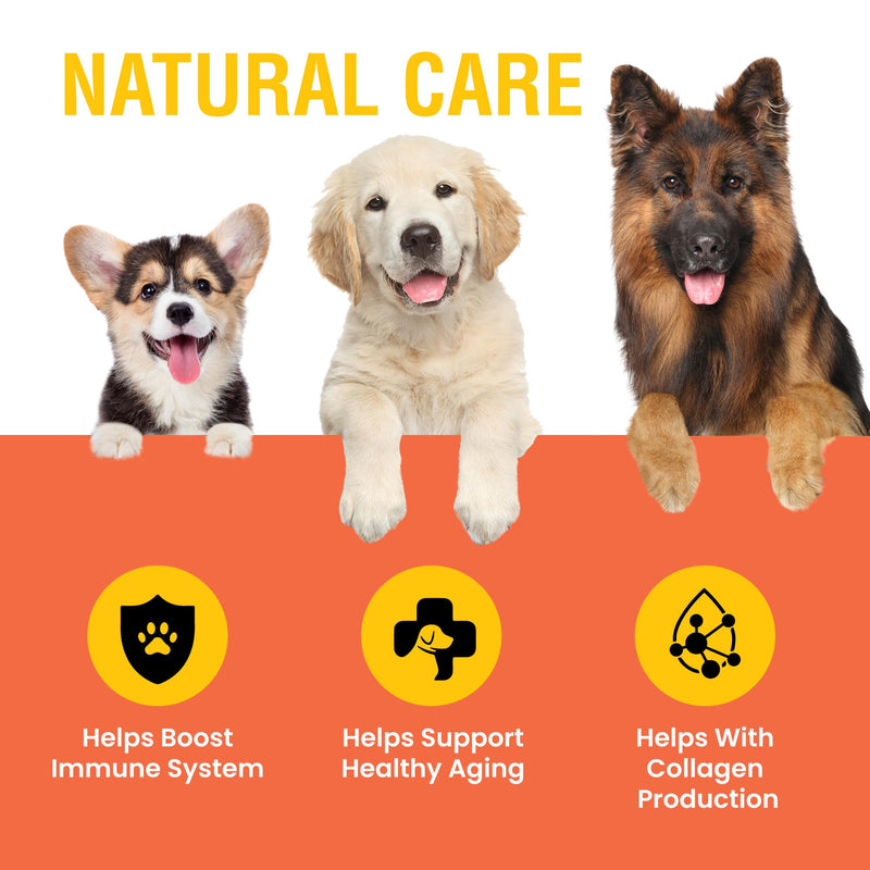Vitamin C for Dogs, Helps Support Immune System, Vitamin C Liquid Supplement, Dog Immune Booster, Bacon Flavored, 2oz - PawsPlanet Australia