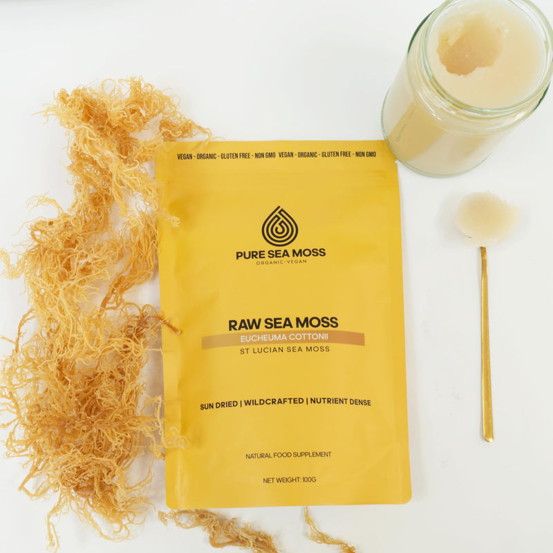 Raw Dried Sea Moss 100g | Pure Sea Moss Organic-Vegan, for Homemade Sea Moss Gel