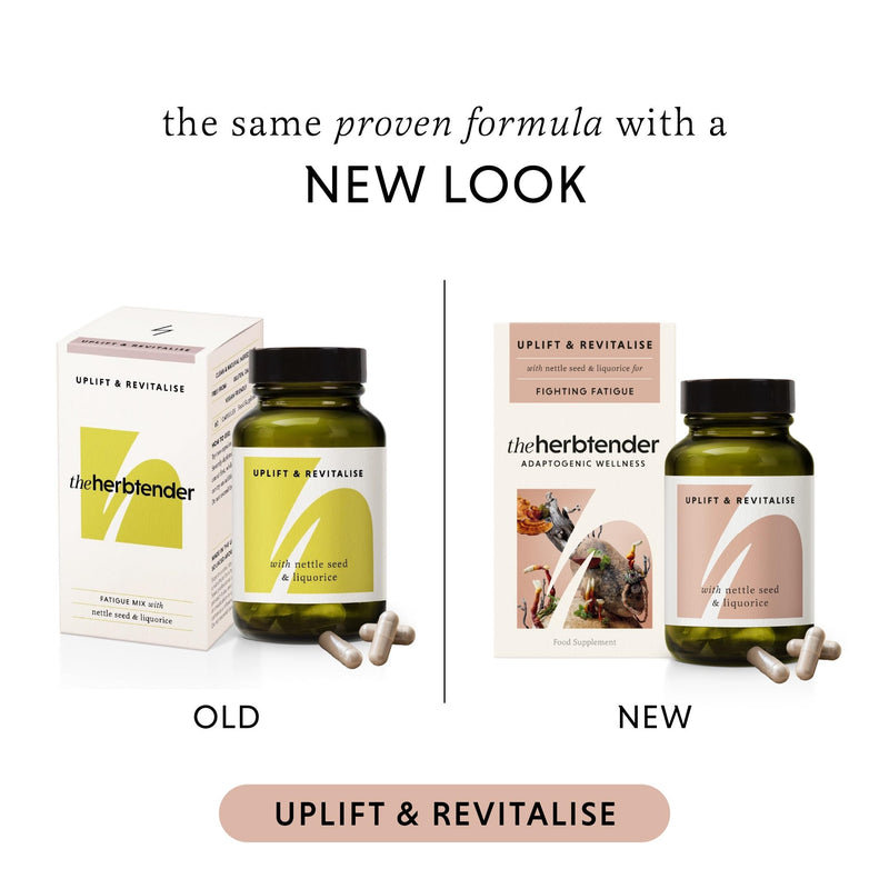 Nettle Seed & Reishi Supplement – Uplift & Revitalise 60 Capsule Jar - Rhodiola Rosea Capsules - Reishi Mushroom Capsules - Nettle Extract Supplement - Natural Energy & Fatigue Support for Adults
