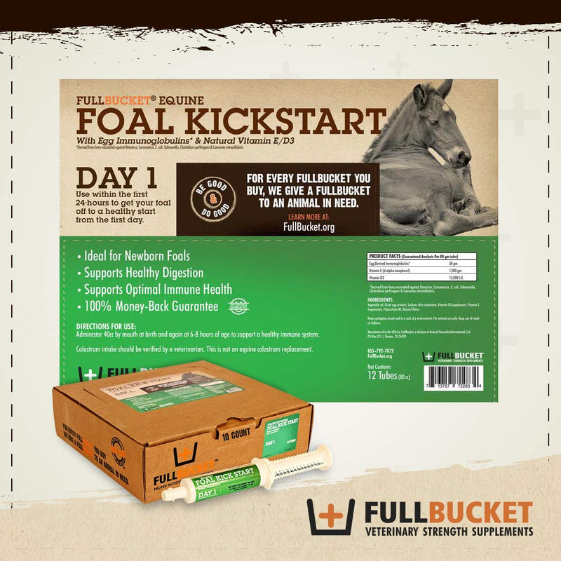 Equine Foal Kickstart Paste – Ideal for Newborn Foals on Day 1 to Support Healthy Immune & Digestive System Health, 1 Tube - PawsPlanet Australia