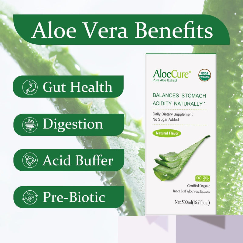 [Australia] - AloeCure USDA Organic Aloe Vera Juice Made Within 12 Hrs of Harvest - Pure Aloe Juice Natural Digestive Supplement to Support Digestion, Immune System and Balanced Stomach Acidity, 500ml Bottle 1 