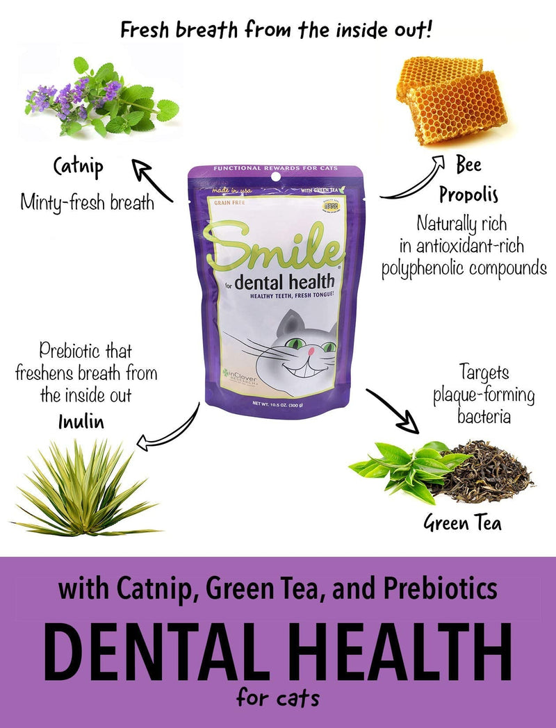 In Clover Smile Daily Dental Health Soft Chews for Cats, Support Healthy Teeth and Fresh Tongue with Catnip and Green Tea, Prebiotics, and Chlorophyll for Fresh Breath 2.1 oz (60g) - PawsPlanet Australia