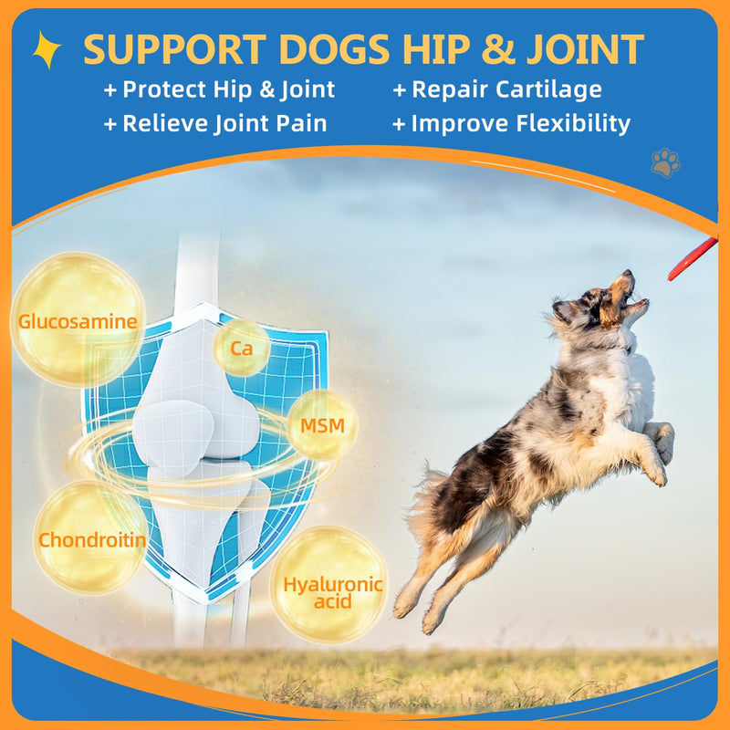 Dog Multivitamin Powder with Glucosamine, Dog Vitamins and Supplements for Immune Support, Dog Skin and Coat Supplement with Omega 3 for Allergy Relief, Probiotics for Dog Support Digestive Health 90 Scoops - PawsPlanet Australia