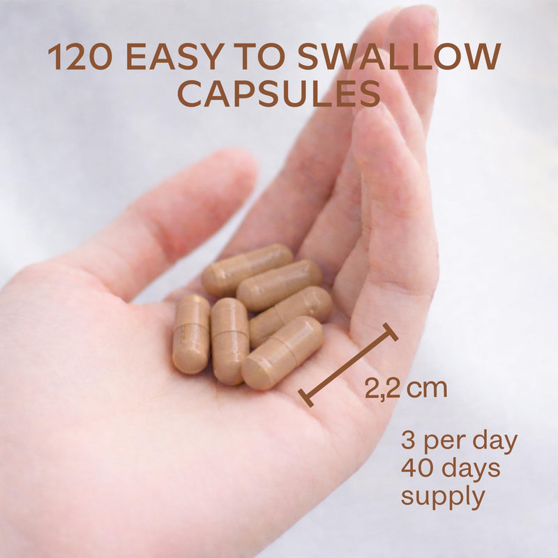 Ashwagandha KSM 66 -1000mg (Highly Concentrated 10:1 Extract Ratio Equivalent to 10,000mg per Serving)of which 5% Withanolides-with Vitamin B6, B1, Zinc, Magnesium & Manganese-120 Ashwagandha Capsules