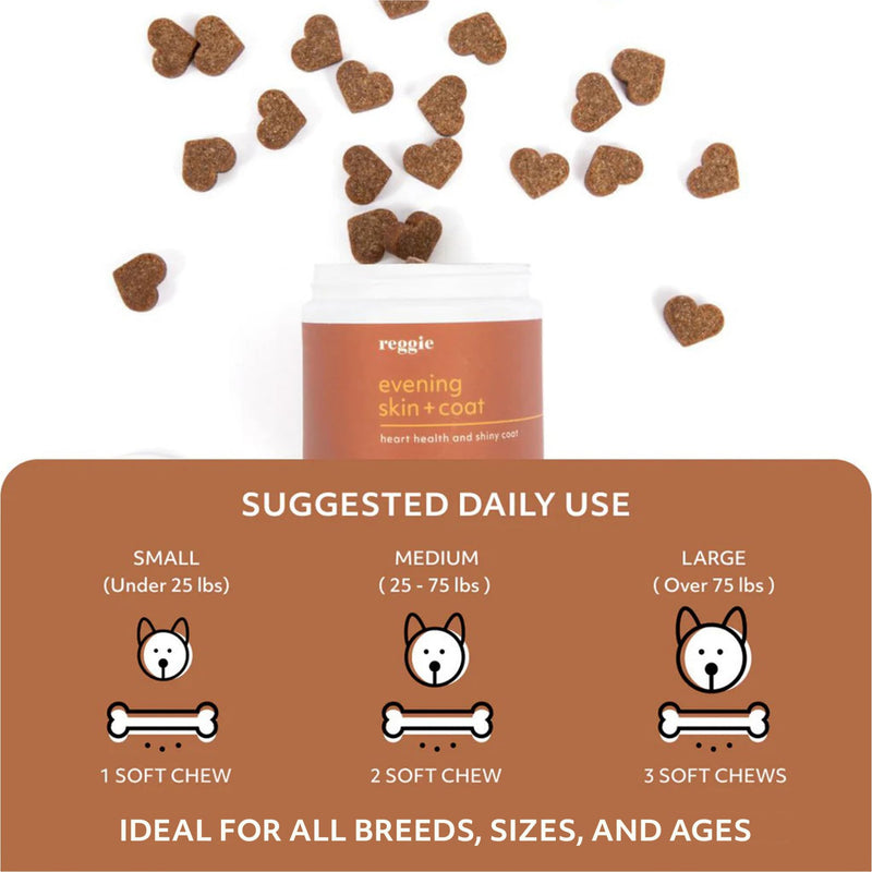 Reggie Evening Skin + Coat Supplements for Dogs | Relieves Itchy/Dry/Flaky Skin & Shedding | Made in The USA, Vet-Approved & Ideal for All Ages, Breeds, and Sizes - 60 Soft Chews - PawsPlanet Australia