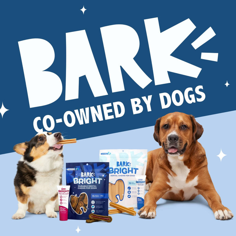 [Australia] - Barkbox Bright Original Dog Dental Kit, 30 Teeth Cleaning Chew Sticks & Toothpaste - Medium Breeds 