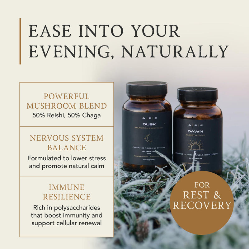APE Nutrition Organic Reishi & Chaga Mushroom Blend Capsules - Dusk | Improved Sleep & Relaxation, Improved Recovery | UK Mushroom Supplements 100% Pure