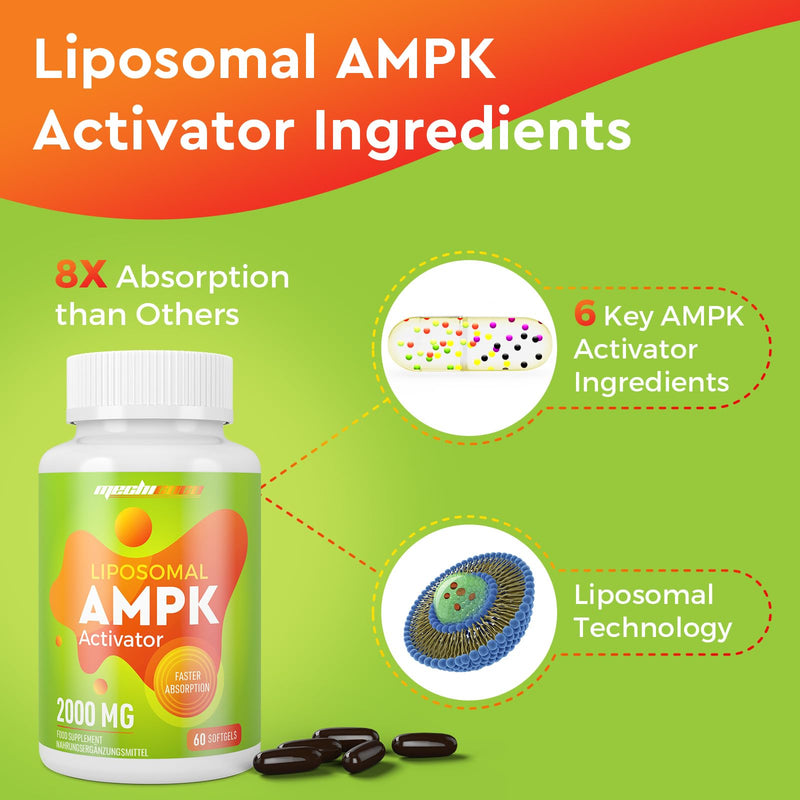Liposomal AMPK Activator Capsules 2000 mg, 6-in-1 Formula with Berberine HCL,Quercetin Dihydrate, Resveratrol and Cinnamon Bark, for Antioxidant Support and Cellular Regulation, NO Soy,NO Gluten 60 count (Pack of 1)