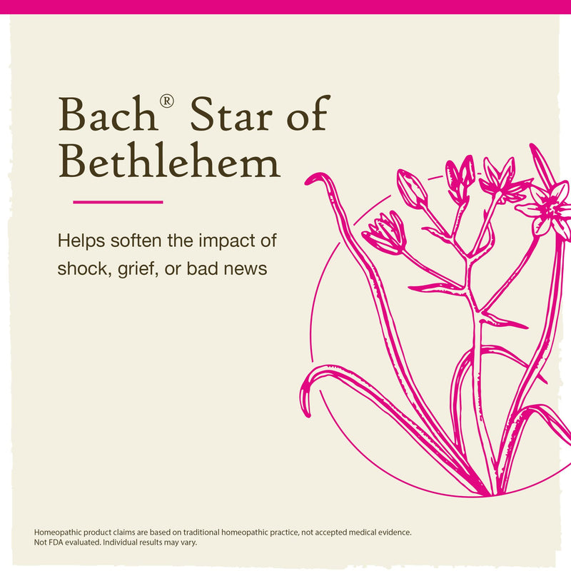 [Australia] - Bach Original Flower Remedies, Star of Bethlehem for Grief and Shock (Non-Alcohol Formula), Natural Homeopathic Flower Essence, Vegan, 10mL Dropper 