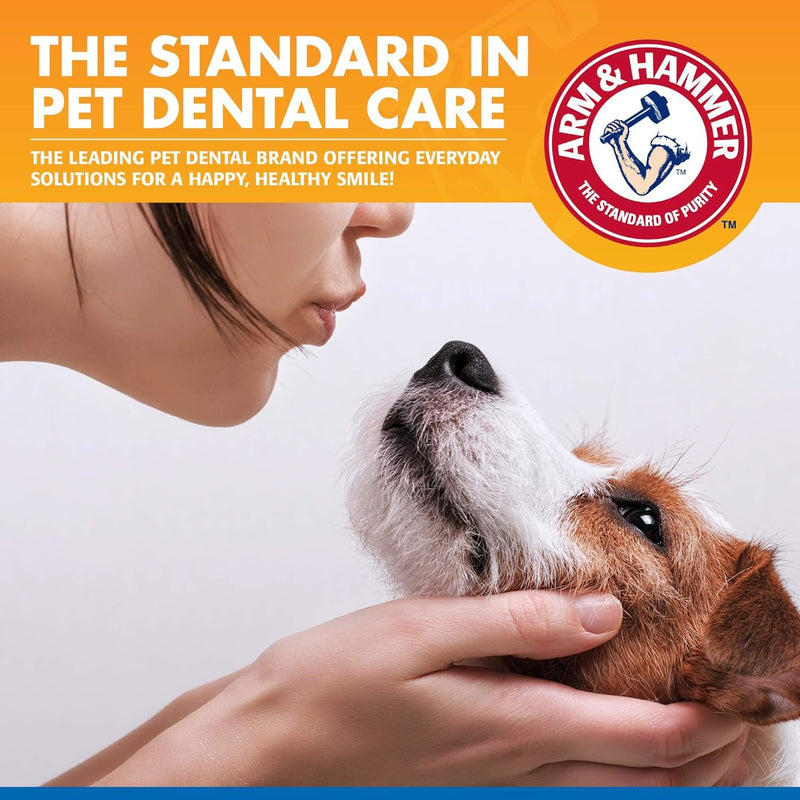 [Australia] - Arm & Hammer for Pets Dental Water Additive for Dogs, Tartar Control | Dog Dental Care Reduces Plaque & Tartar Buildup Without Brushing | Odorless and Flavorless, 16 Fl Ounces - 2 Pack 16 Fl Oz (Pack of 2) 