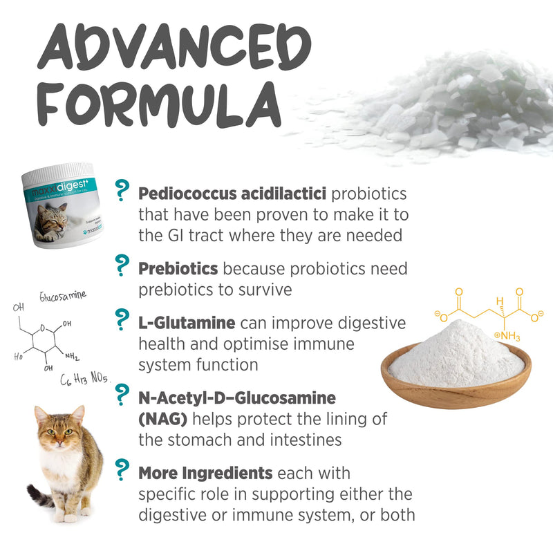 maxxidigest+ Probiotic & Prebiotic Powder Supplement - Digestive & Immune Support for Cats, 7oz 7 oz - PawsPlanet Australia