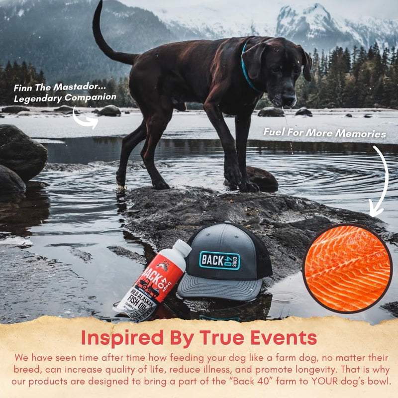 Wild Alaskan Fish Oil for Dogs, Skin and Coat Supplement for Dogs & Cats, Omega-3-Rich Salmon and Pollock Oil, EPA & DHA Dog Salmon Oil for Brain, Heart, and Joints 16 fl oz (473 ml) 16 Ounces - PawsPlanet Australia