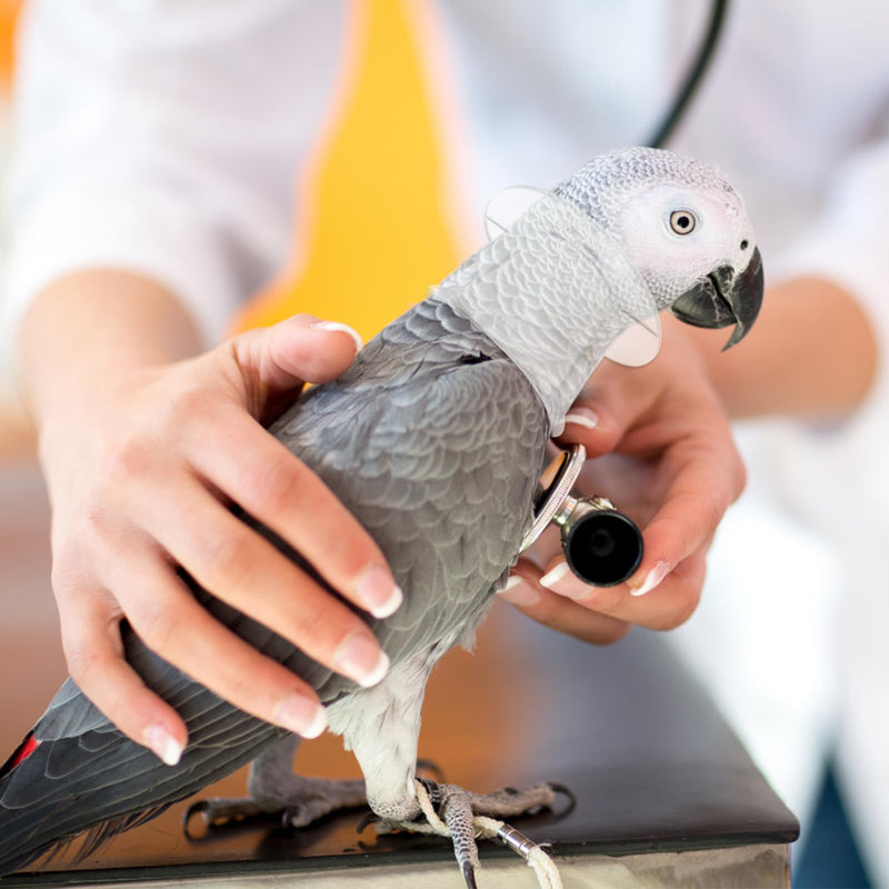 Bird Collar Pet Parrot -bite Collar, -Grab Feather Lick Wound Healing Safety Practical Neck Cover for Macaw African Budgies Parakeet Cockatiel Large - PawsPlanet Australia