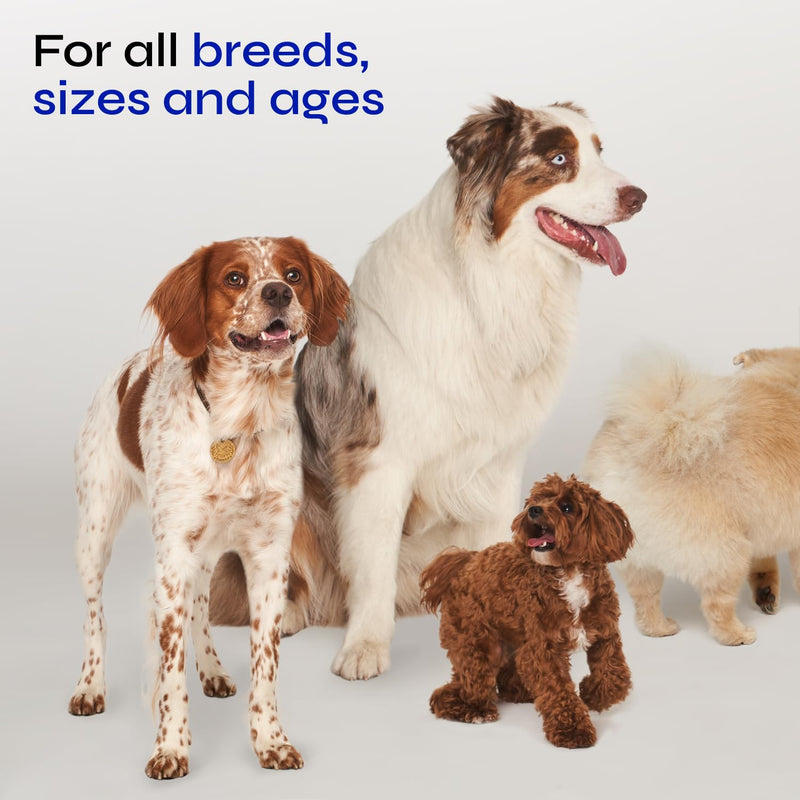 Glucosamine for Dogs - Hemp Joint Supplement for Dogs - Glucosamine Chondroitin for Dogs with MSM - Hip and Joint Chews for Dogs Mobility Support - Hip & Joint Pain Relief- Hemp Seed Oil, Vitamin C Duck 130 count - PawsPlanet Australia