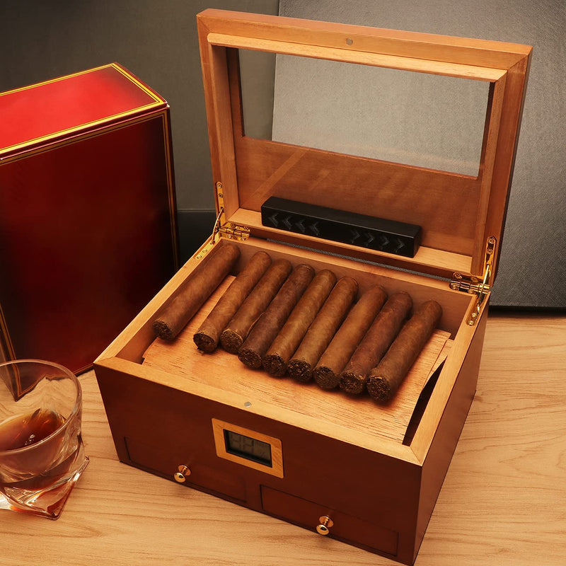 [Australia] - TISFA Cigar Humidifier, Cigar humidor humidifiers, Black Cuboid Humidor Humidifier (S) S 
