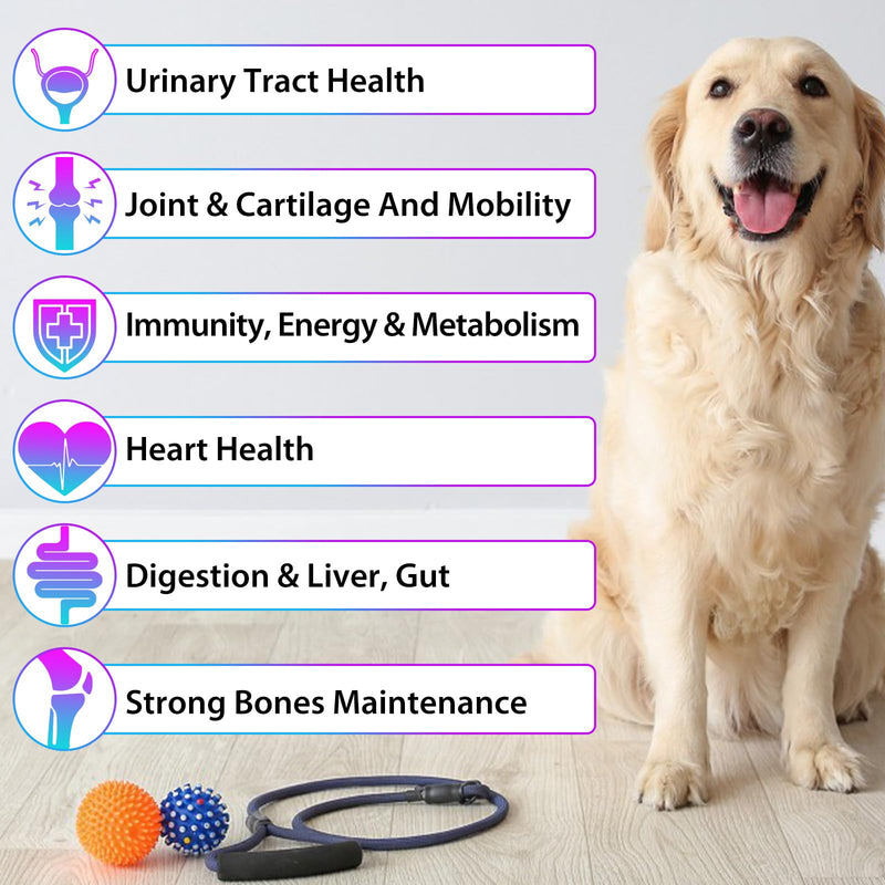 Dog Multivitamin - 15 in 1 Multivitamin Drops for Dogs, Dog Vitamins with Glucosamine Cranberry Supports Joint & Digestion, Skin & Coat, Pets Supplements for Dogs of All Ages, Bacon Flavor - 2 Fl Oz Purple-15 in 1 Multivitamin - PawsPlanet Australia