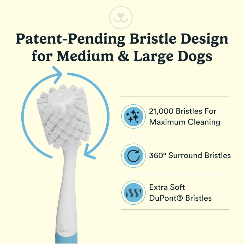 [Australia] - Jasper Macrobrush 360º, Dog Toothbrush for Medium to Large Dogs, Soft-Bristled Dog Tooth Brushing Kit - Premium Non-Slip Handle with 2 Replaceable Tooth Brush Heads, Use with Pet Toothpaste Macrobrush Kit 2 Count (Pack of 1) 