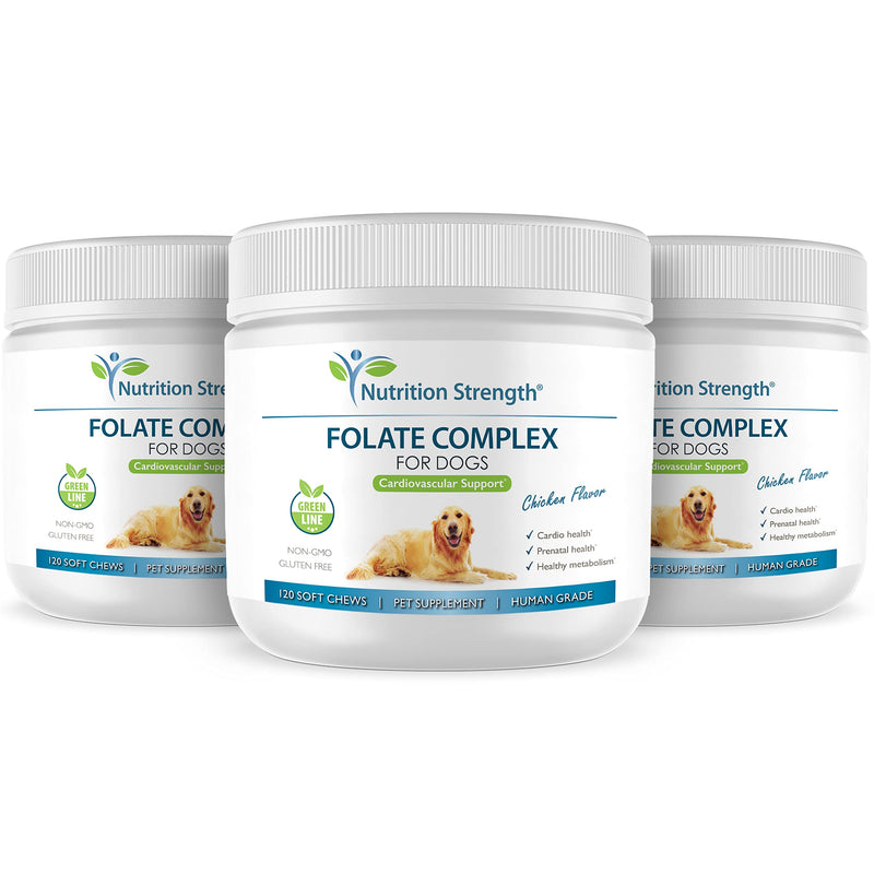 Folate for Dogs to Promote Cardiovascular & Prenatal Health, Support DNA Synthesis & Cell Maintenance, Folic Acid for Dogs with Zinc, Biotin, Iron & Vitamin B12, 120 Soft Chews - PawsPlanet Australia