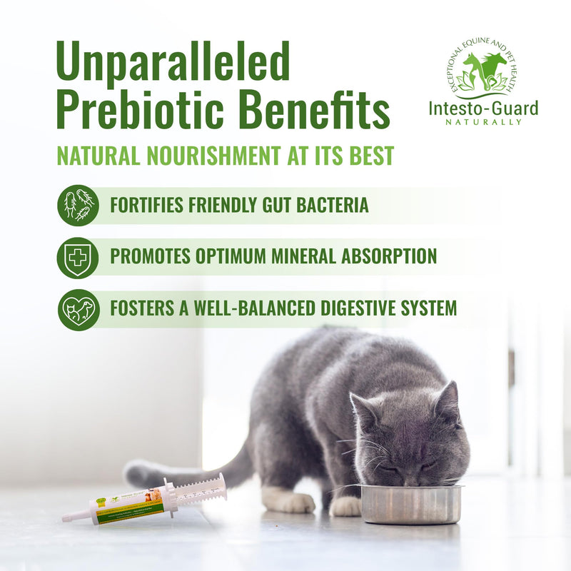 Intesto Guard Probiotics Paste 60ML/60cc Tube for Dogs & Cats Helps with Dog Diarrhea, Immune Supplements, with IgY antibodies & Made in USA - PawsPlanet Australia