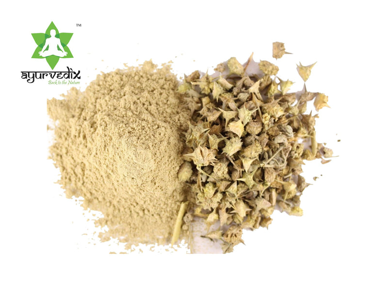 [Australia] - Gokhshura Gokhru Powder 200g/7.05oz Jar Rich in Antioxidants I Natural Detoxifier I No Chemicals & Preservative Free Tribulus Terrestris Vegan Herbal Powder I for Good Health & Overall Wellness 