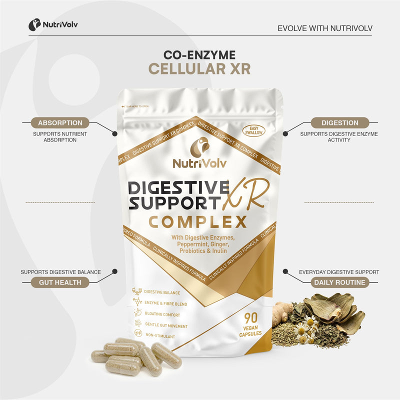 Digestive Support XR Complex | 90 Vegan Capsules | Premium Digestive Enzyme & Fibre Blend | Digestive Balance, Bloating Comfort & Gentle Gut Movement | Peppermint, Ginger & Probiotics | by NutriVolv