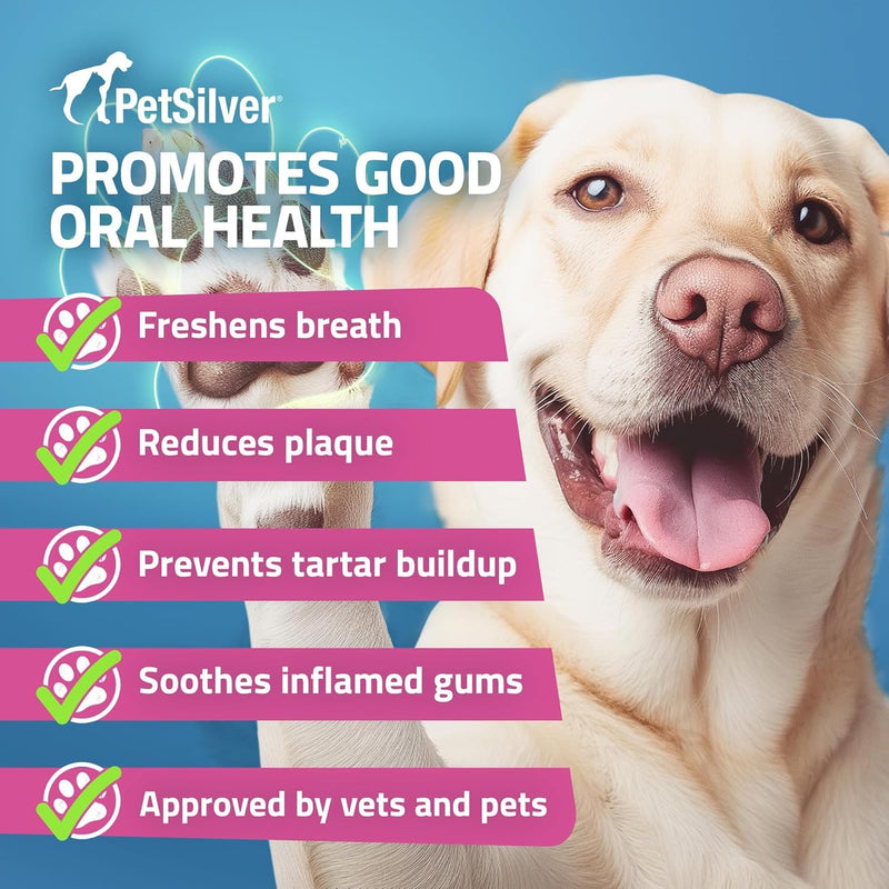 PetSilver Teeth & Gum Water Additive for Dental Care - Dog Breath Freshener - Targets Tartar, Plaque & Eliminates Bad Breath - Cat Oral Care & Dog Teeth Cleaning - No Brushing & Tasteless - 12 fl oz - PawsPlanet Australia