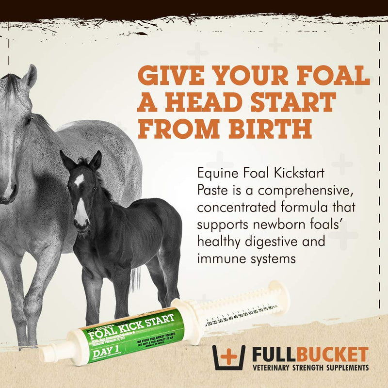 Equine Foal Kickstart Paste – Ideal for Newborn Foals on Day 1 to Support Healthy Immune & Digestive System Health, 1 Tube - PawsPlanet Australia