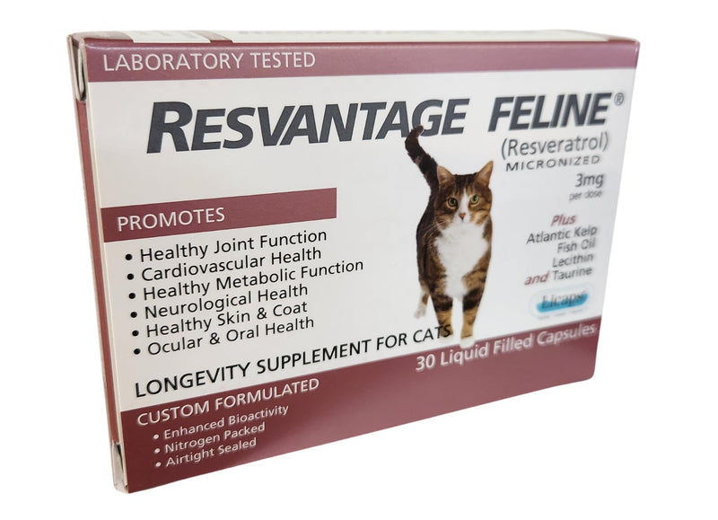 Feline - Resveratrol - The Longevity Supplement for Cats - 30 Capsules - PawsPlanet Australia