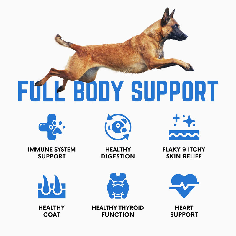 Kelp Powder, Dried Sea Kelp Supplement for Optimal Pet Health, Multifunctional Dog Vitamins Rich with Iodine & Omegas for Thyroid Health, Dental, Immune, Digestive, & Heart Health, 453g 16 OZ - PawsPlanet Australia