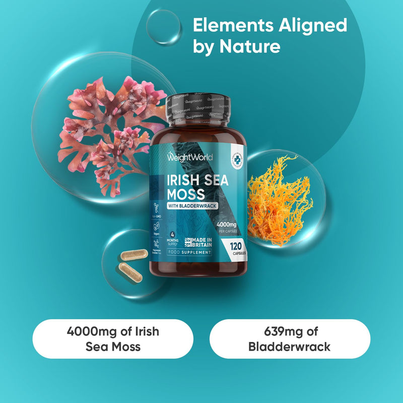 Irish Sea Moss 4000mg - 4 Months Supply - 120 Sea Moss Capsules - Added with 639mg of Bladderwrack - 1 Capsule a Day - Made in the UK - Non-GMO - Vegan & Magnesium Stearate-Free Supplement