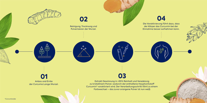 [Australia] - Zirkulin White Curcuma 30 Capsules - Premium Curcuma High Dose & High Bioavailability - Promotes Gastrointestinal Wellbeing & Strengthens the Immune System - with Biotin, Niacin, Ginger & Vitamin C + D 30 Pieces (Pack of 1) 