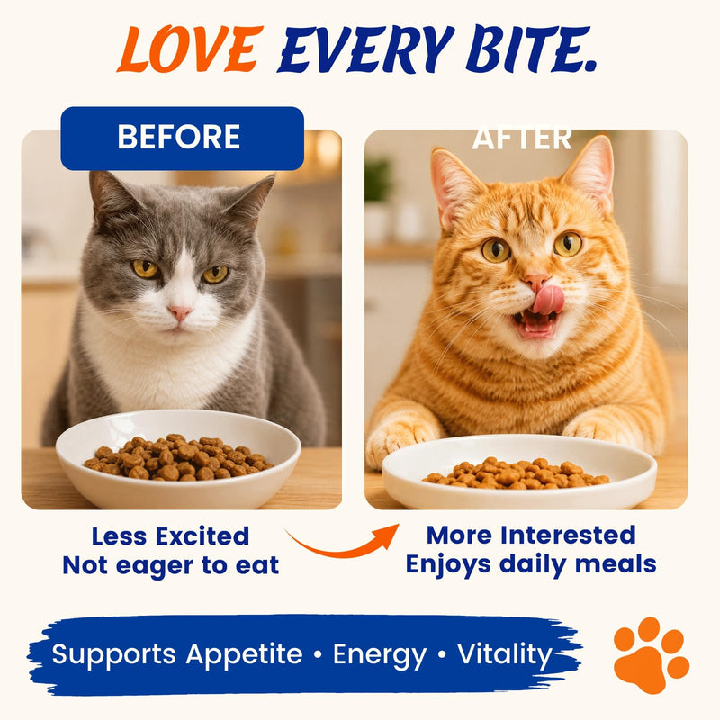 Appetite Stimulant for Cats – Vitamin B12 (Methylcobalamin) Supplement | Mood, Energy, Appetite, Immune System Support - 3.5 fl oz