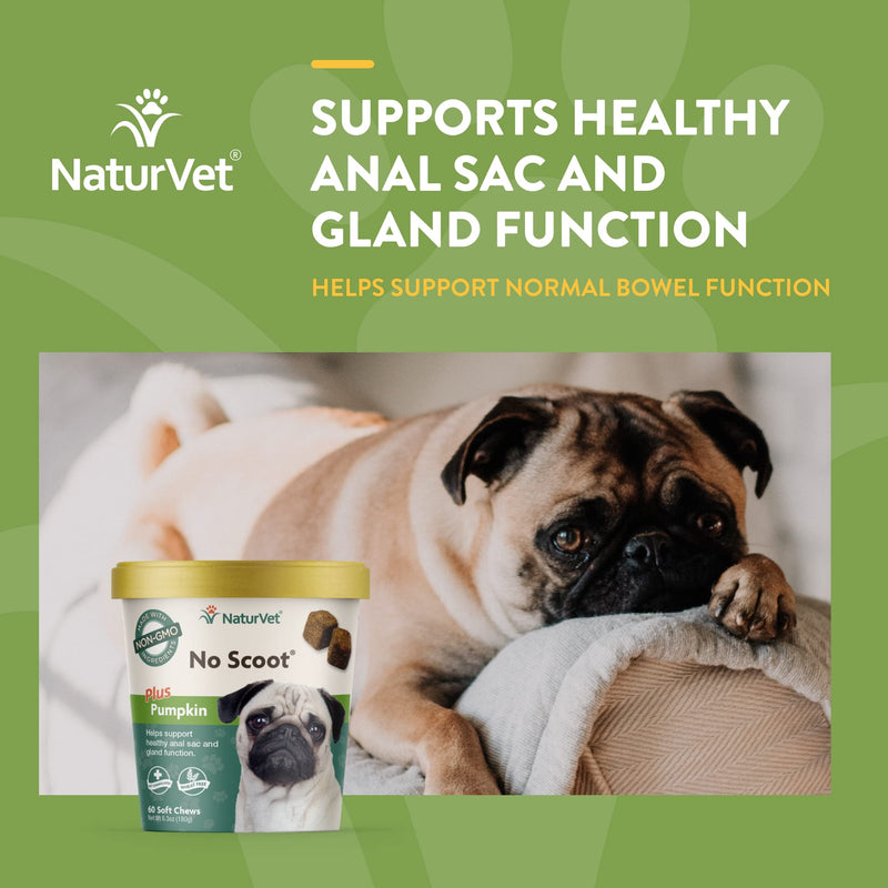 NaturVet - No Scoot for Dogs - 60 Soft Chews - Supports Healthy Anal Gland & Bowel Function & Stool Ease for Dogs – 40 Soft Chews – Helps Maintain Regular Bowel Movements - PawsPlanet Australia